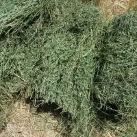 علوفه باغ درجه یک سه تن اماده