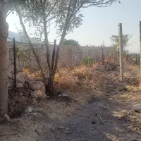 اجاره سالیانه مرغداری آماده به کار|اجارهٔ دفتر صنعتی، کشاورزی، تجاری|ایوان, |دیوار