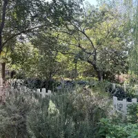 باغ ویلای ۹۰۰ متری در کوهسار ، سند تک برگ