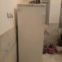 فریزر آزمایش سالم