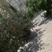 فروش خانه باغ دربهترین منطقه ازشهرستان هشترود|فروش خانه و ویلا|هشترود, |دیوار