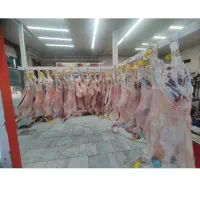 سوپر پروتین بیدک نبش رجای ۱۷