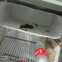 یخچال فریزر کوچک‌ و جم جور سالم سالم به شرط میدم|یخچال و فریزر|مشهد, نظام دوست|دیوار