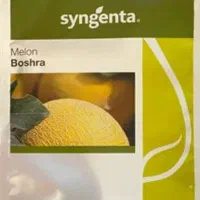 بذر صیفی جات|خدمات باغبانی و درختکاری|باقرشهر, |دیوار