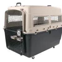 باکس سگ سایز ۸ در حد نو