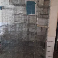 قفس جفت خون