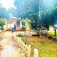 ویلاباغ-1100-متری-حیاط-پرمیوه-باسندتکبرگ-شش-دانگ