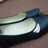 کفش مجلسی|کیف، کفش، کمربند|مریوان, |دیوار