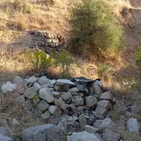 زمین مسکونی میشخاص|فروش زمین و ملک کلنگی|سیوان, |دیوار