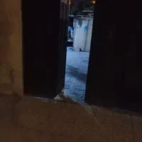 اجاره خانه