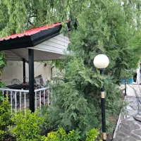 باغچه ویلای ۷۵۰ متری ،سنددار ، بهشت خصوصی|فروش خانه و ویلا|محمدشهر, عباس آباد|دیوار