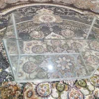آکواریوم فروشی