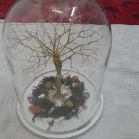 درخت تزیینی