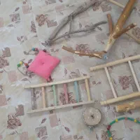 وسایل بازی قفس پرنده