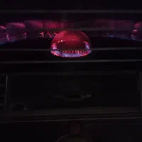 چراغ نفتی عتیقه|لامپ و چراغ|مشهد, ایثارگران|دیوار