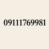 0911-176-9981