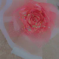 گل جاودان|گل مصنوعی|سمنان, |دیوار