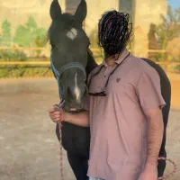 اسب