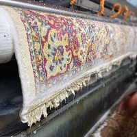 قالیشویی تمام اتوماتیک هما کرج|خدمات نظافت|کرج, باغستان|دیوار