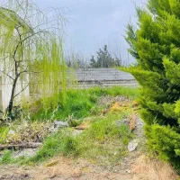 زمین۲۵۴  متری در جوربند