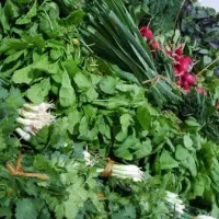 سبزی خورشتی خردشده