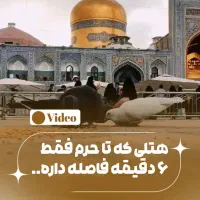 ادمین حضوری و غیر حضوری اینستاگرام هستم