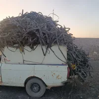 خرید ضایعات نوار تیپ