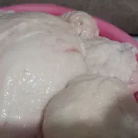 دنبه تازه کشتار روز ۵۵۰