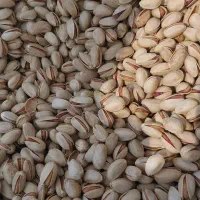 پسته ومغز|خوردنی و آشامیدنی|تربتحیدریه, باغ ملی|دیوار