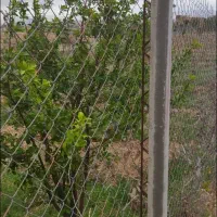 معاوضه باغ با ماشین