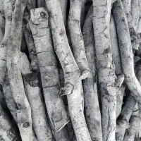 زغال پسته(سرشاخ-قلم)|عمده‌فروشی|سیرجان, |دیوار