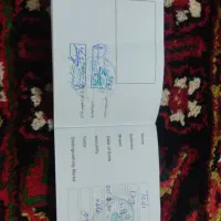 سگ‌پامرانی|سگ|تبریز, |دیوار