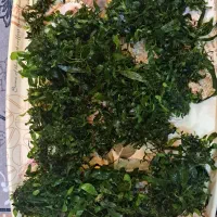 گیاه ابزی .پلنت.تراریوم|گل و گیاه طبیعی|مشهد, کوی المهدی|دیوار