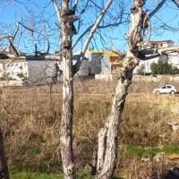2140-متر-تجاری-مسکونی-بر-اتوبان-63متر-بر-با-سند