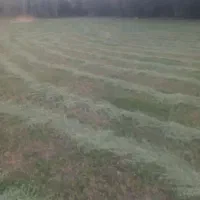 یونجه به شرط|لوازم جانبی حیوانات|کوهرنگ, |دیوار