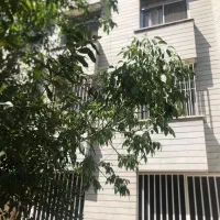 ۲۱۸ متر بر  ۷ شمالی