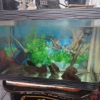 آکواریوم شیشه خم عرض 30در 60