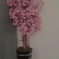 گلدان با گل های خارجی نو