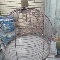 قفس طغری و لونه گرینچیک|لوازم جانبی حیوانات|کرمان, |دیوار