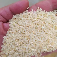 برنج|خوردنی و آشامیدنی|خرمدره, |دیوار