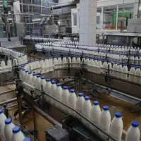 فروش یا معاوضه کارخانه لبنیات باتجهیزات حومه تهران|فروش دفتر صنعتی، کشاورزی، تجاری|تهران, عباسآباد|دیوار