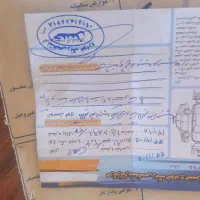 206 تیپ 2 مدل 91|خودرو سواری و وانت|بجنورد, |دیوار