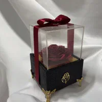 گل ربانی،رز روبانی،دسته گل،باکس گل،پول آرایی|گل مصنوعی|شیراز, پودنک|دیوار