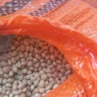 لوبیا چش بلبلی|خوردنی و آشامیدنی|چاه داد خدا, |دیوار