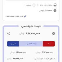 پژو پارس سفارشی