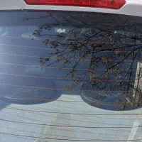 تیبا۲|خودرو سواری و وانت|تهران, تهرانپارس شرقی|دیوار