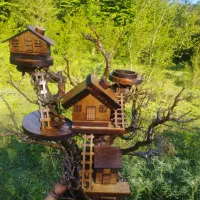 جاشمعی و جاعودی کلبه جنگلی