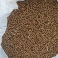 بیش از 30کیلو نخود قرمز درجه یک