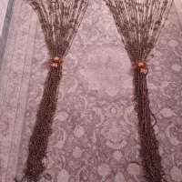 پرده مهره ای