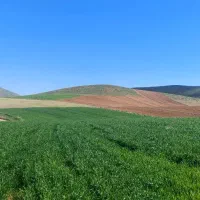اجاره زمین کشاورزی